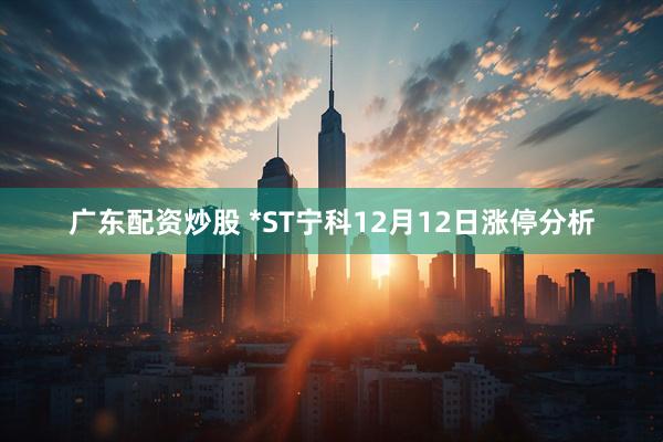 广东配资炒股 *ST宁科12月12日涨停分析
